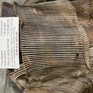 100g Đỗ Trọng (Khô, Sạch, Đẹp)
