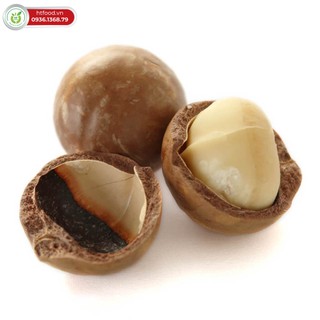 Hạt macca Daklak sấy nứt size đại | Hàng ngon