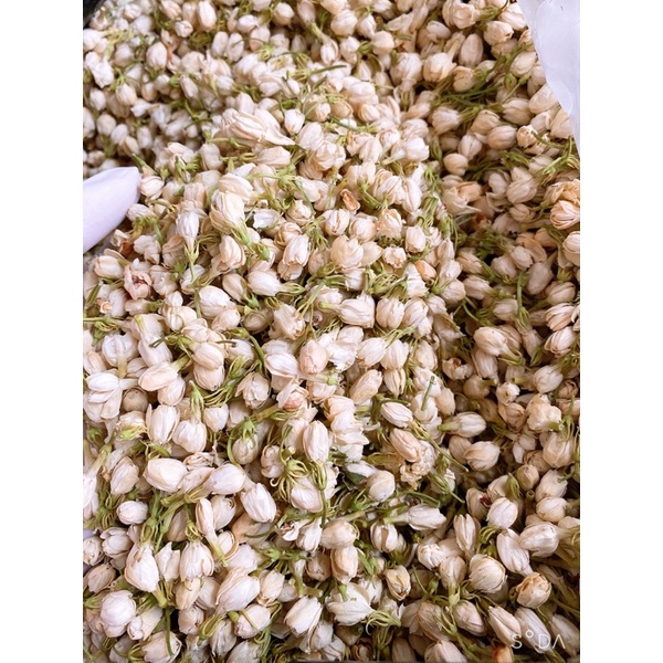 1kg Nụ hoa nhài nguyên bông trắng thơm