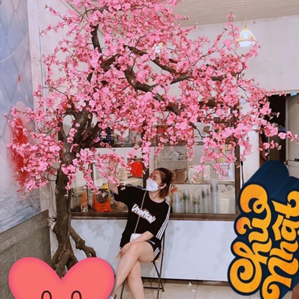 Combo 50 cành đào giả trang trí tết