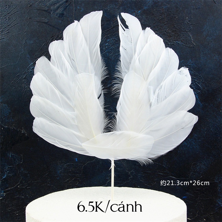 cách thiên thần lông vũ trắng