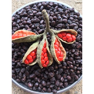 1kg HẠT DỔI