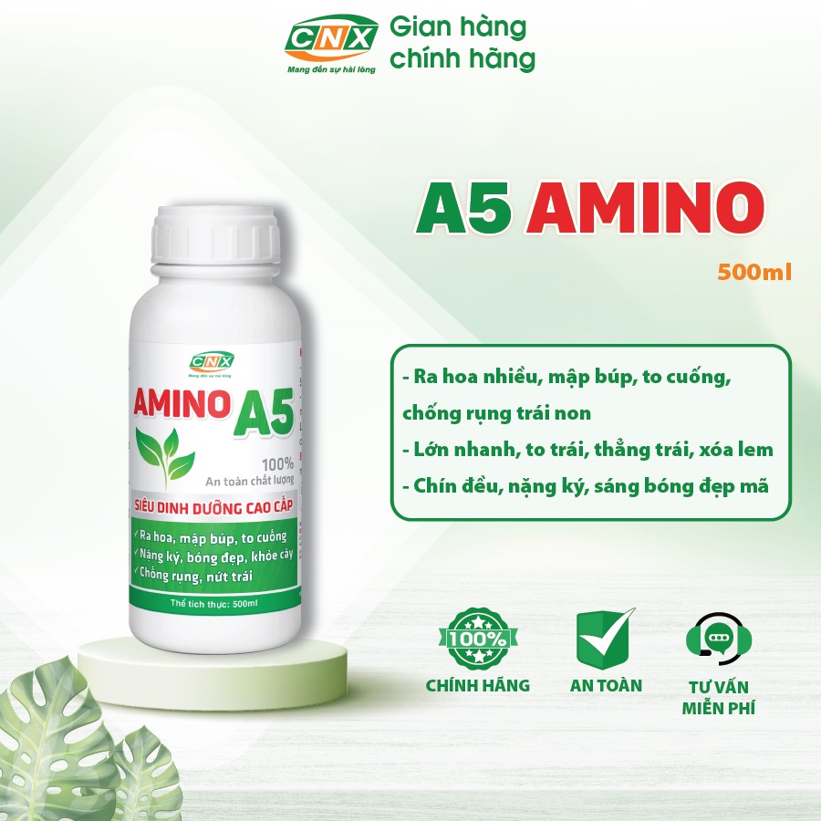 Phân bón vi lượng A5 AMINO ra hoa nhiều to đẹp, trái nặng lớn nhanh chắc trái, rễ khỏe, phục hồi cây yếu CNX 250/500ml
