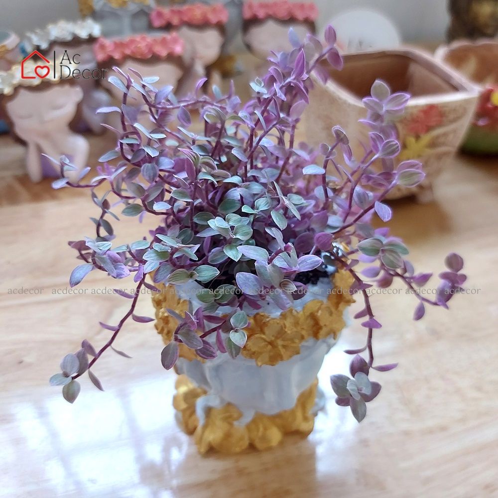 Chậu Trồng Cây Để Bàn 3D Tượng Nữ Thần Hy Lạp - Trồng Sen Đá, Xương Rồng, Trang Trí Bàn Làm Việc - Kích Thước 10 x 7 cm