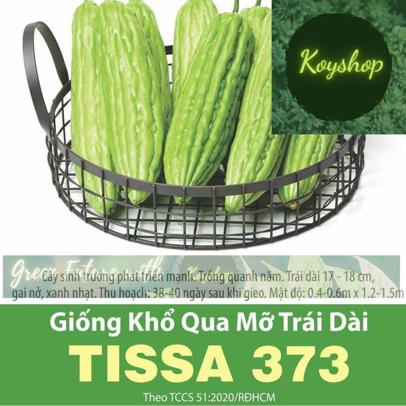 Hạt Giống Khổ Qua Mỡ Trái Dài TISSA 373 gói 2gr - Rado Seeds - Giá sỉ tốt hơn!