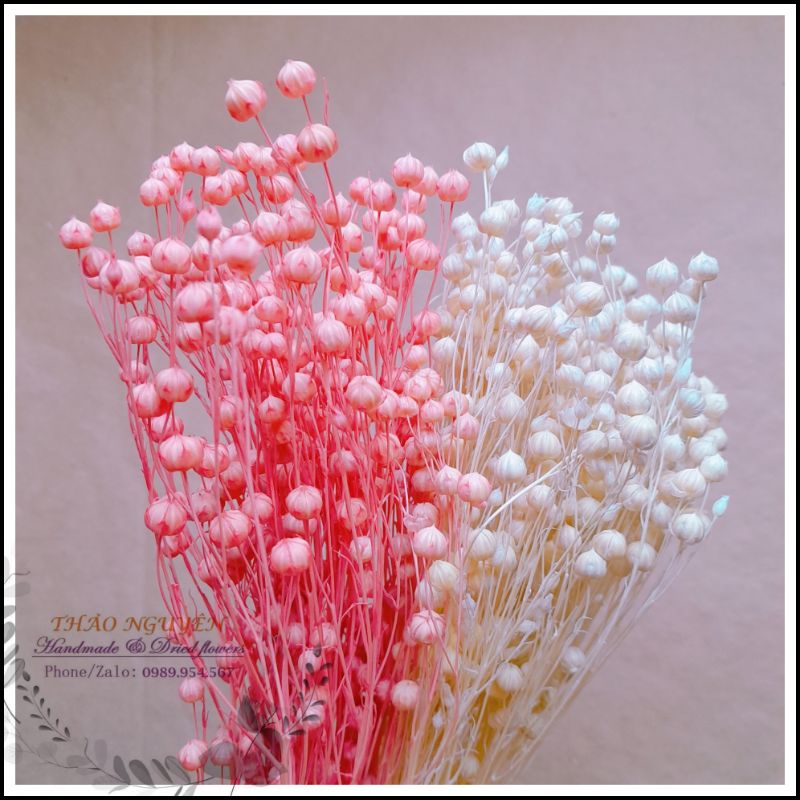 cành hạt dẻ mini khô ❤️ hoa khô trang trí, phụ kiện chụp ảnh