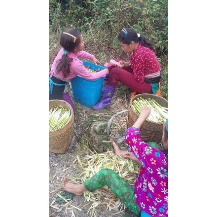 Măng trúc muối 100k/lọ 2lọ