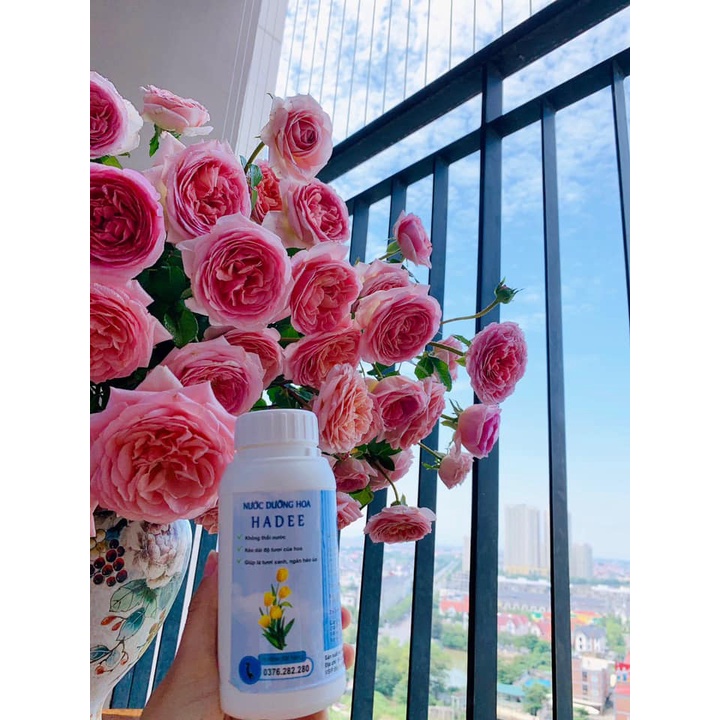 Nước dưỡng hoa tươi HADEE - dạng chai tiết kiệm 250ml - 500ml -1000ml