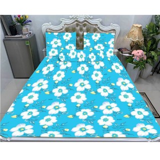 Drap (ga giường) thun lạnh Hàn Quốc cao cấp Bộ 4 món