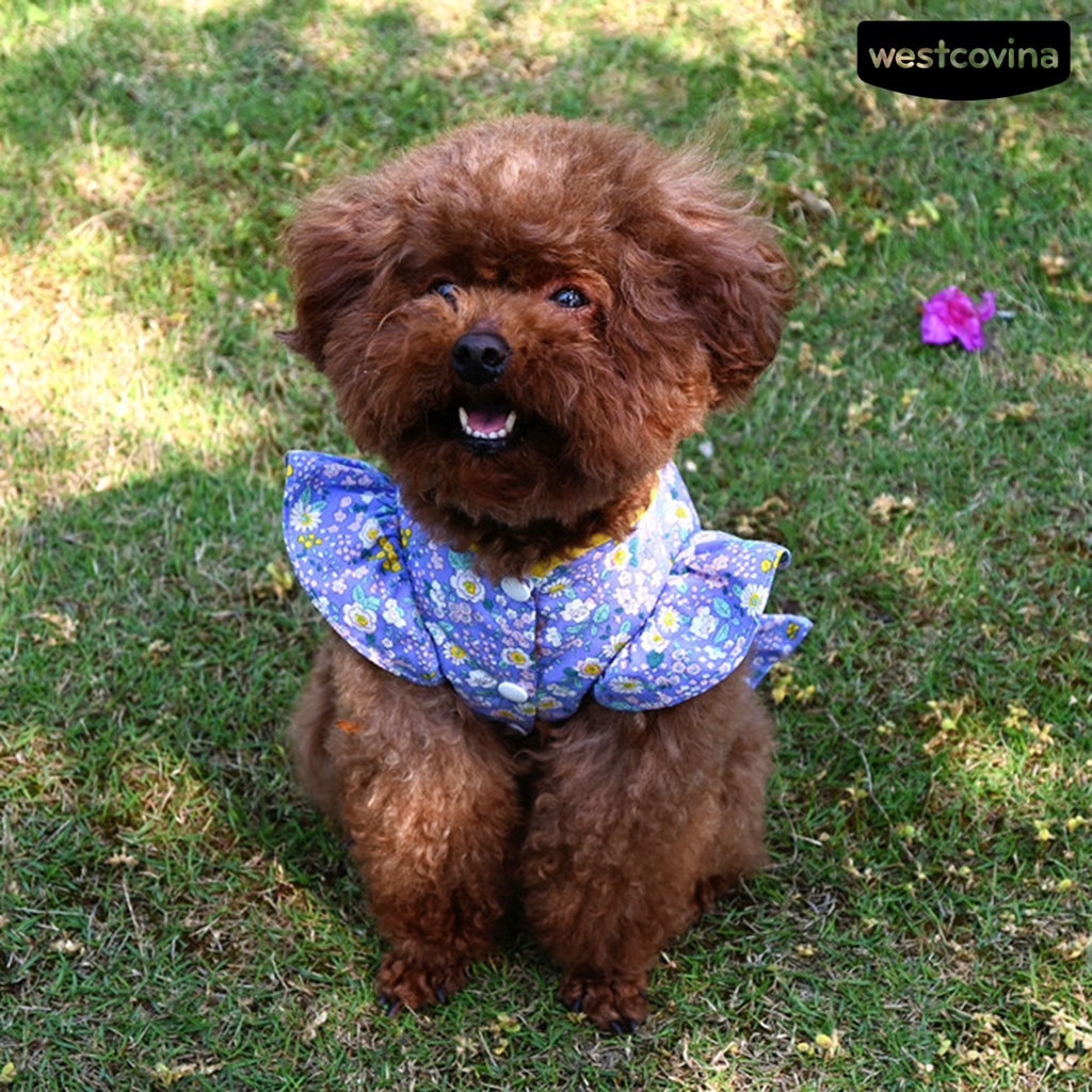 [COD]♘Sườn Xám In Hoa Thoáng Khí Có Khóa Đĩa Dành Cho Cún Cưng