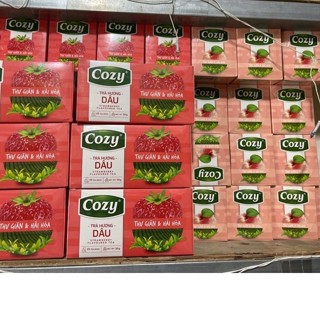 Trà Cozy Dâu / Đào / Vải / Táo Túi Lọc ( KENBAR )