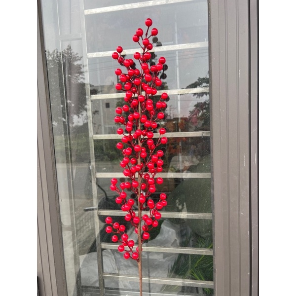 Đào đông 6 nhánh