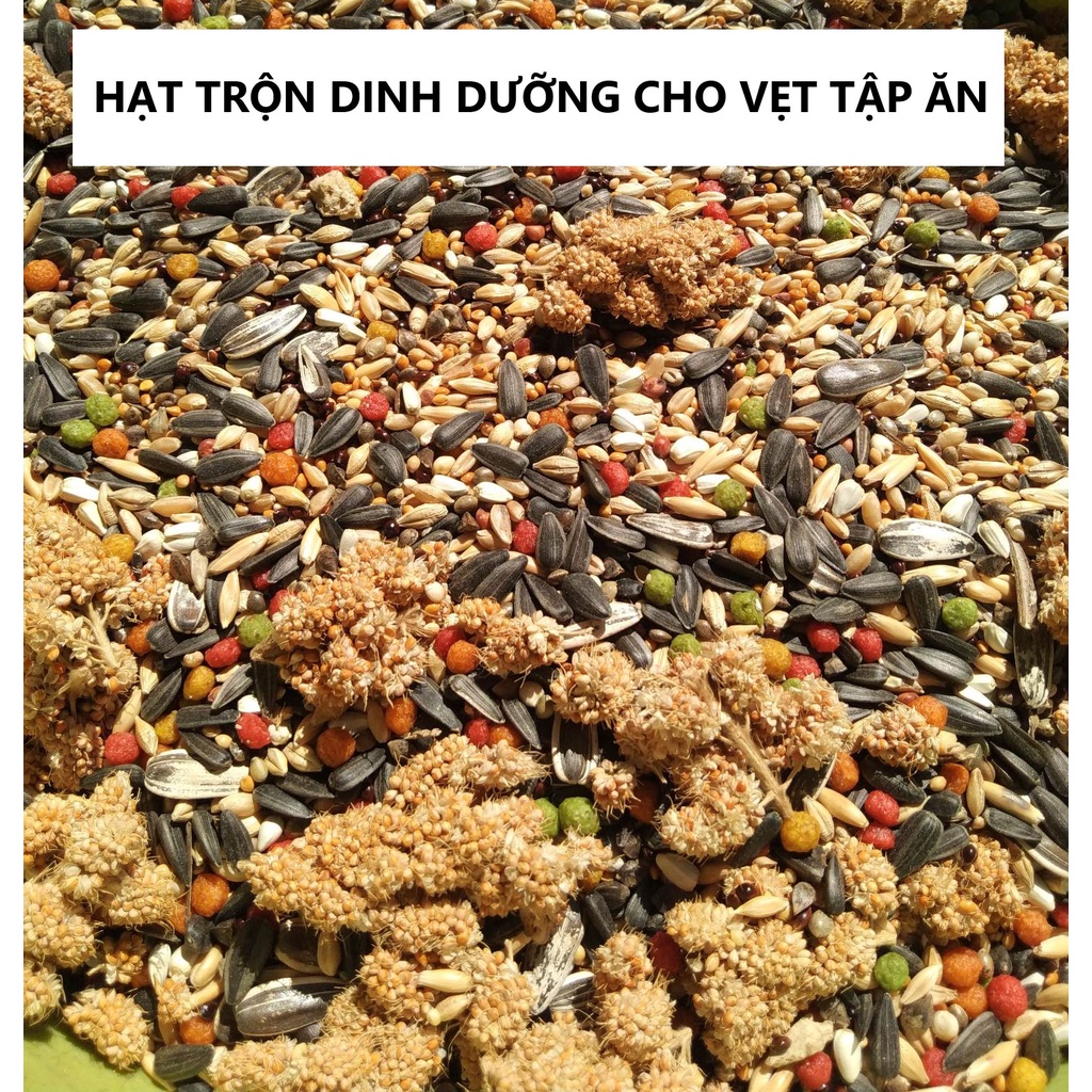 1KG HẠT TRỘN HOÀN CHỈNH ĐẦY ĐỦ DINH DƯỠNG GIAI ĐOẠN TẬP ĂN CHO LOVEBIRD, COCK, PARROTLET...