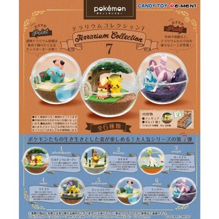 Bộ mô hình RE-MENT Pokemon Terrarium Collection Vol.7