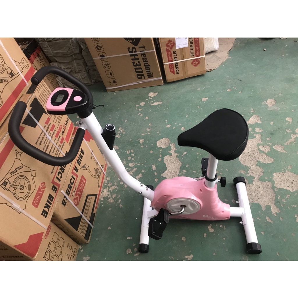 B&G Xe đạp tập thể dục tại nhà EXERCISE BIKE YS02 WHITE