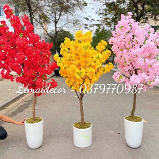 Cây Hoa Anh Đào giả trang trí decor Tết, hoa mai giả - Cây giả hoàn thiện ( Không chậu)