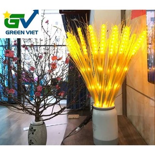 COMBO 10 CÂY BÔNG LÚA ĐÈN LED - THẦN TÀI - MAY MẮN