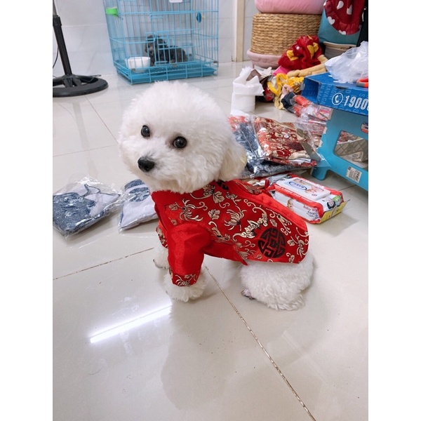 Áo đồng tiền tua rua/Áo dài Tết cho chó mèo