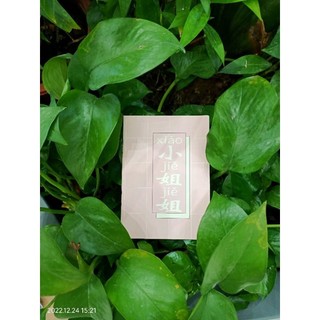 sổ mini cute