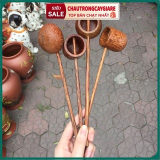 Muôi, muỗng, gáo múc rượu, mắm, tương, bằng tre, an toàn tiện lợi cho nhà bếp của gia đình