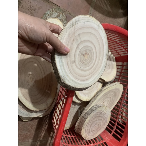 Lát gỗ decor trang trí size 16-30cm