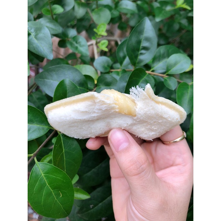 Bánh sữa chua ông già HORSH - Ngày sản xuất mới nhất - Hạn dùng 60 ngày