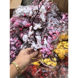 Cành đào cổ trang trí
