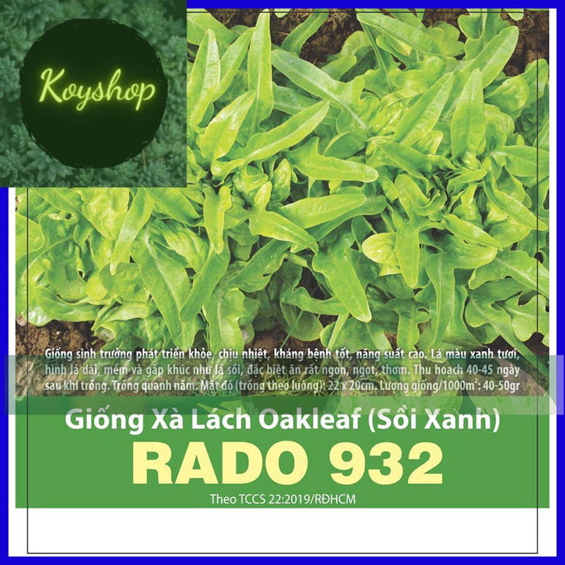 Hạt Giống Xà Lách Oakleaf Sồi Xanh - Rado Seeds X 2 gói - Giá sỉ tốt hơn!