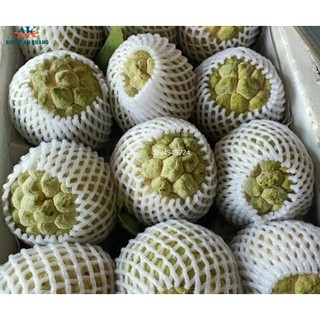 Xốp bọc trái cây 1kg (20cm)