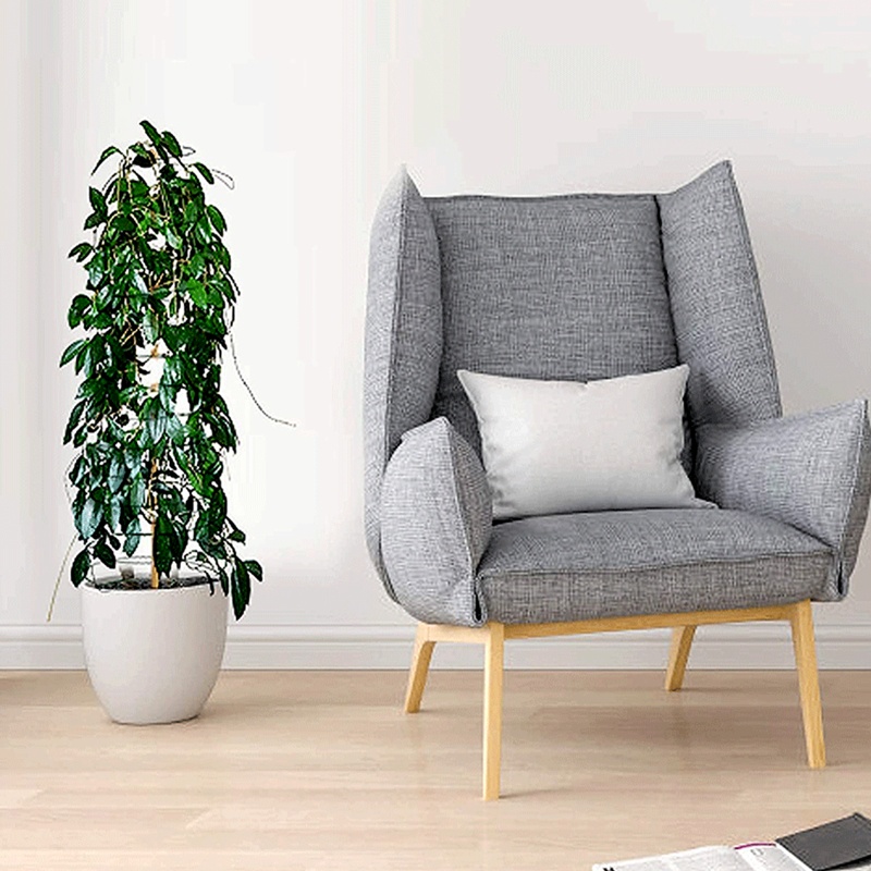 Giá Đỡ Hỗ Trợ Trồng Cây Dây Leo Bằng Kim Loại Tiện Dụng