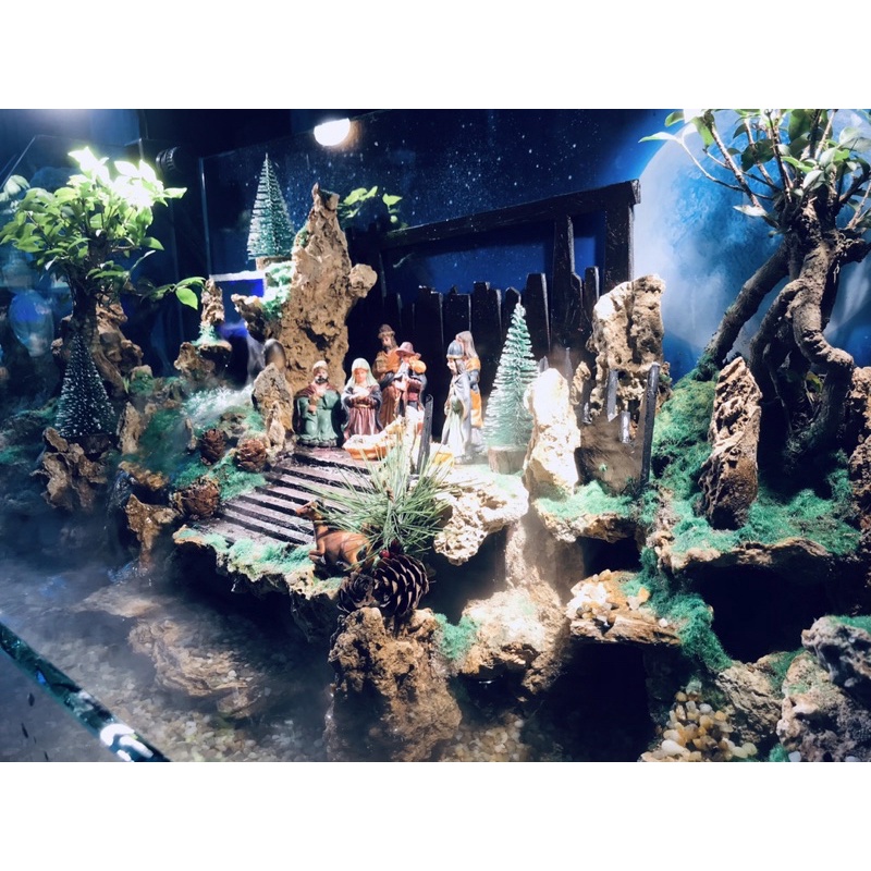 Hồ cá tiểu cảnh Giáng sinh An Lành by Aqua Mặt Trời Vàng