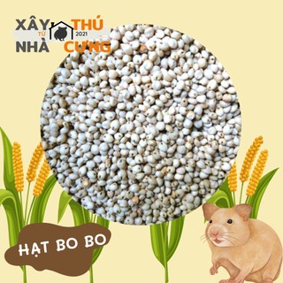 Hạt bo bo 50 gram dinh dưỡng cho hamster và thú cưng