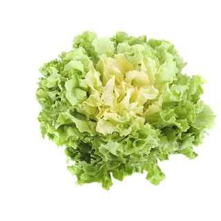 500h Hạt Giống Xà Lách Escarole Broadleaf