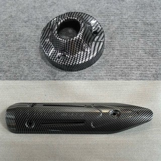 Che pô + đích pô xe exciter 135 đời 2011 carbon