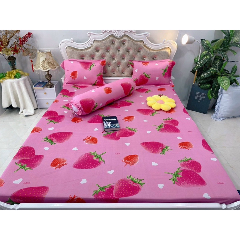 ga thun hàn quốc ( nhiều mẫu)
