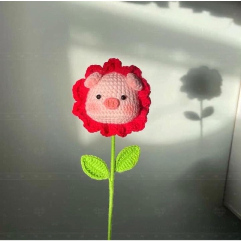 Bông hoa heo móc bằng len nhiều hình dáng độc lạ tặng quà crush đổ lun