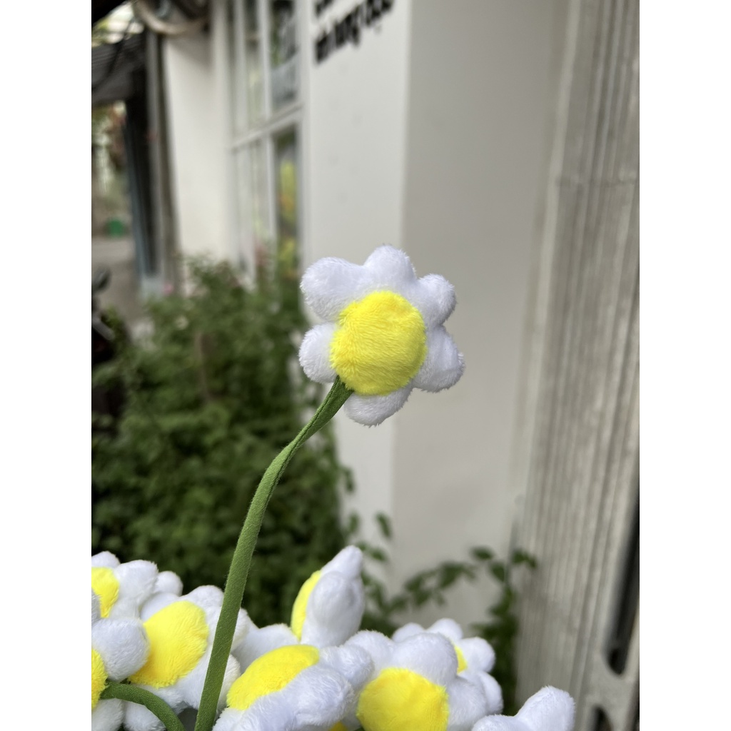 Hoa 6 Cánh Dễ Thương, thân 30cm - gấu bông đình may