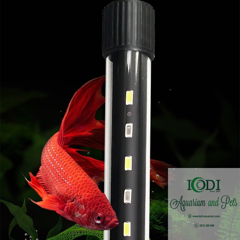 Đèn Chìm Bể Cá T4 LED