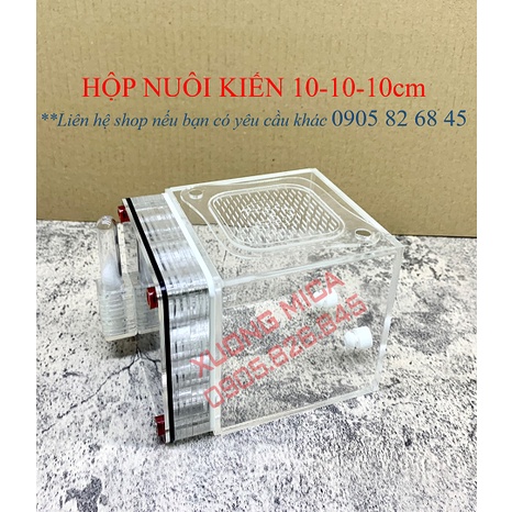 Formicarium / Tổ nuôi kiến / hộp nuôi kiến 10-10-10cm