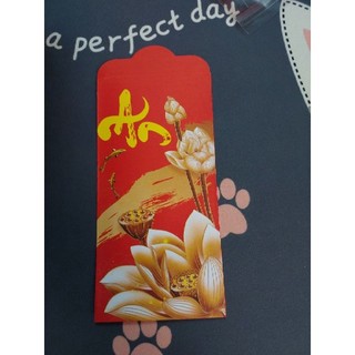 set 10 bao lì xì