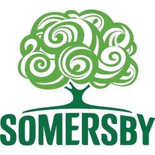 Somersby Cider Táo - 1 lon 320ml