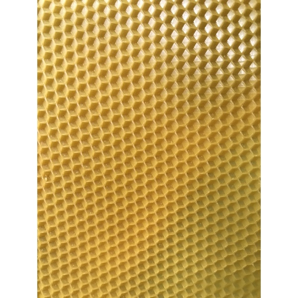 CHÂN TẦNG ONG NỘI