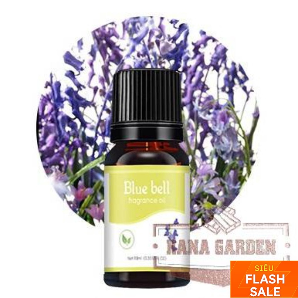 Tinh dầu Chuông gió màu xanh  Thiên Nhiên Nguyên Chất Cao Cấp