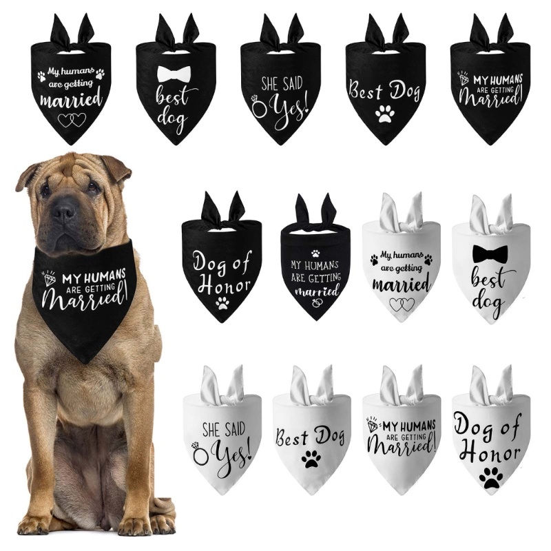 Khăn Choàng Cổ Phong Cách Giáng Sinh Cho Thú Cưng