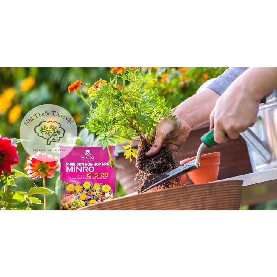 Phân Bón NPK Minro 15-5-20 RA HOA ĐẬU TRÁI Gói 1kg