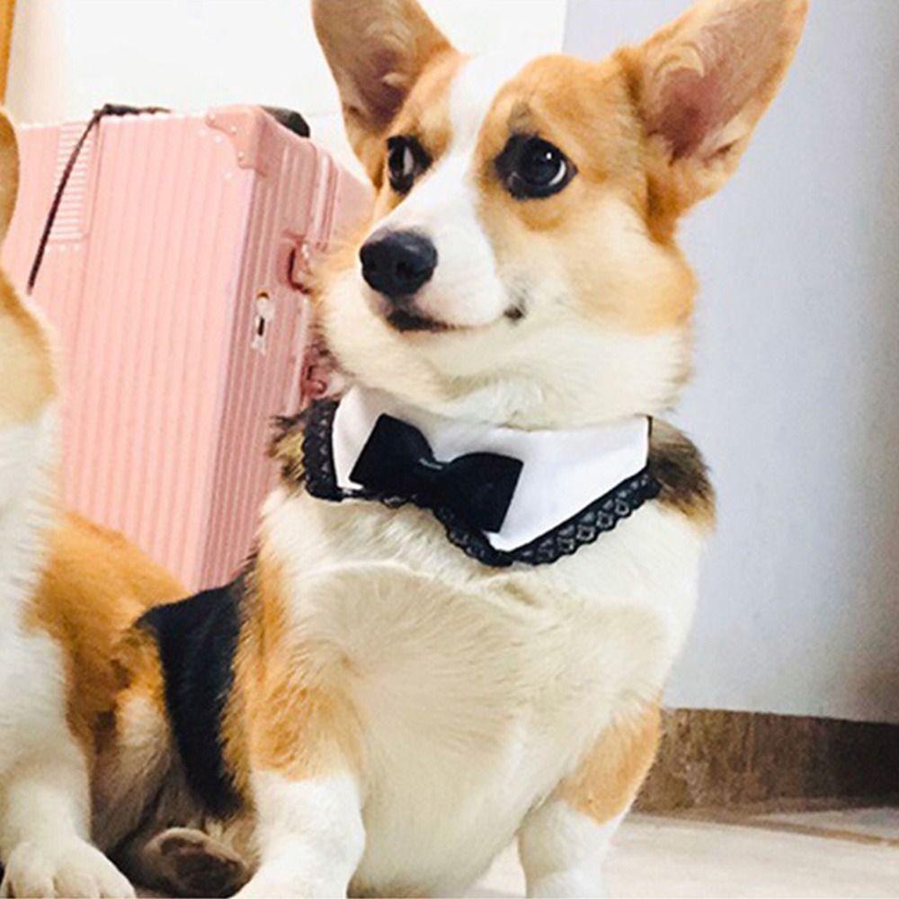 Khăn Choàng Cổ Thắt Nơ Xinh Xắn Cho Thú Cưng