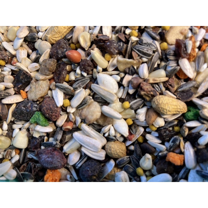 Hạt trộn hàng Ý dành cho vẹt Xám Châu Phi gói chiết lẻ 1kg.