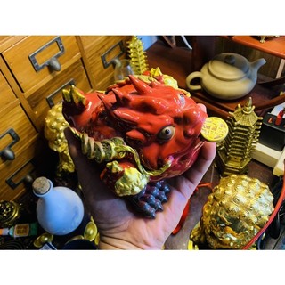 THIỀM THỪ HÓA SÁT NHỎ  (KHAI QUANG)