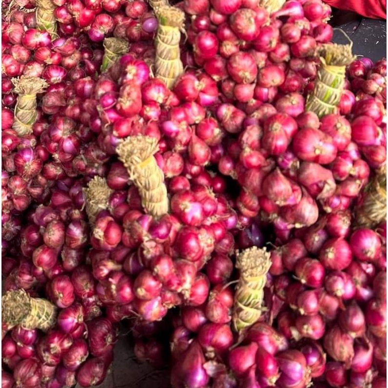 Vayego 200sc, 50ml, hiệu quả trên sâu xanh da láng, sâu hành tím