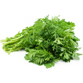 10gr hạt giống cải cúc nếp